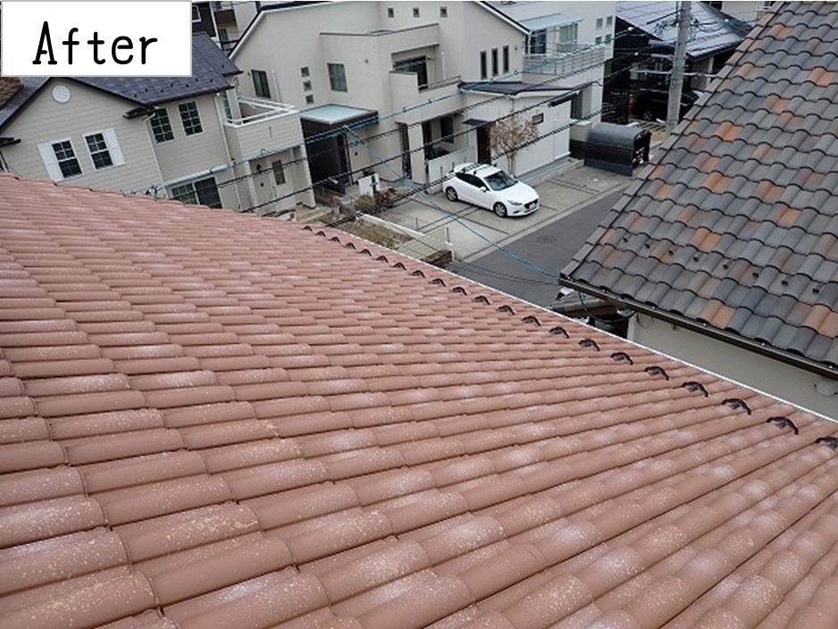 熊野町　屋根調査　屋根に雪止めがない After写真
